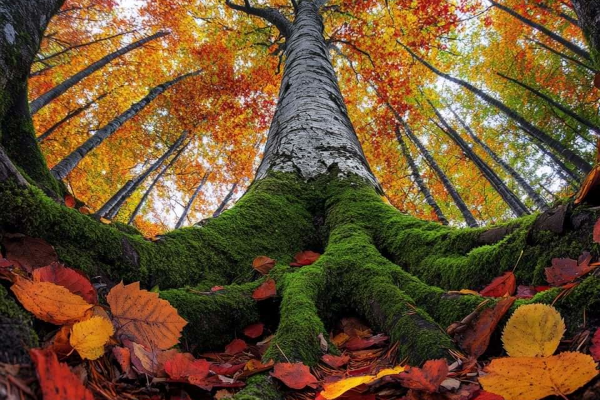 Randonnée pédestre Limousin
